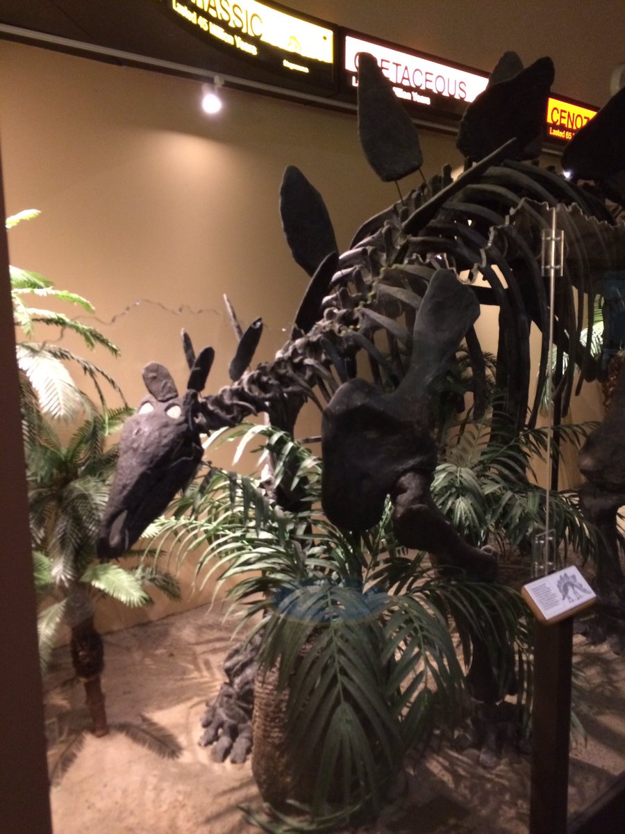 Brefin's tweet photo. Paused enroute to the con at the Springfield Museums. Mostly to see this fine fellow. https://t.co/2gjRe2EoId