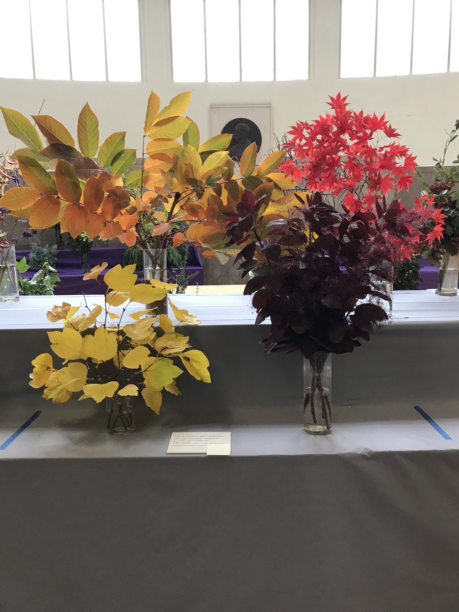 Alex Barry tweet media