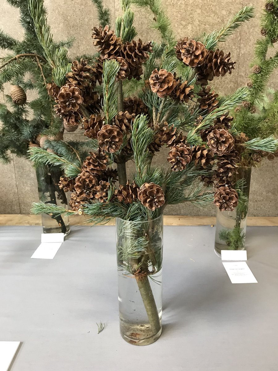 Alex Barry tweet media