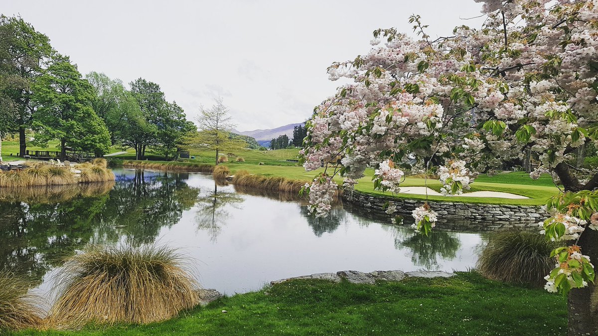 NZOpenGolf's tweet image. Always a nice place to do business meetings... preparing for the 100th New Zealand Open. Tickets on sale 20th November.

#100NZOpen #MillbrookResort #spring #golf #queenstown #newzealand