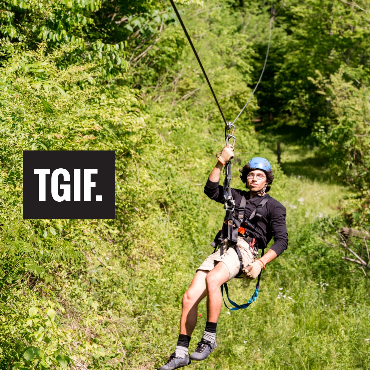 FoxfireMtn's tweet photo. Swinging into the weekend like... https://t.co/LYMtOo6jxf