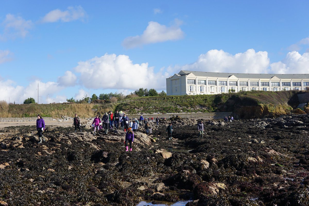 Ed_cology's tweet photo. Brrr...Cold day rock pooling at Mt Batten! ❄
Was a brilliant day, Investigating how the diversity of phyla and gastropod species change in relation to shore height.
 @MBERC_PlymUni #PlyMBIO  #Plymouth https://t.co/H9myUGQdTh