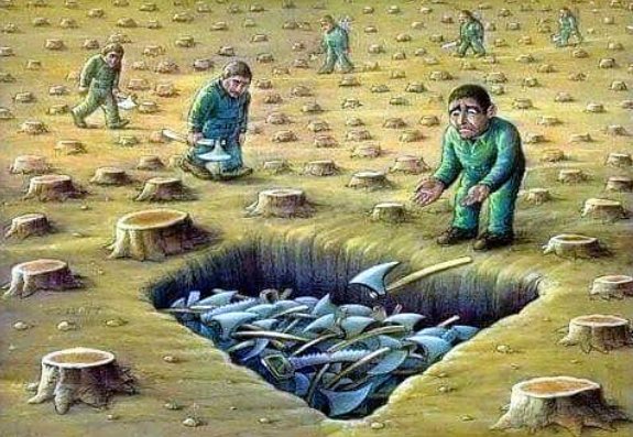 FMW......   fuertemagazin.net