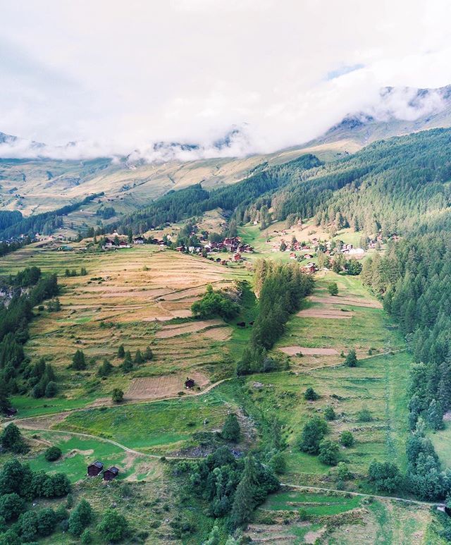 Mohamed Zohny tweet media