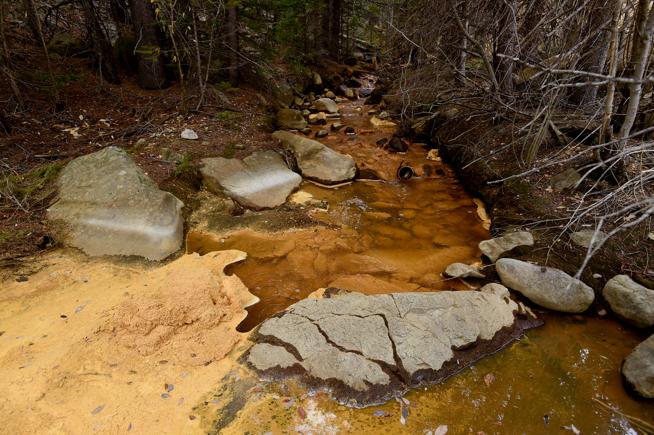 Charlie Brennan tweet media