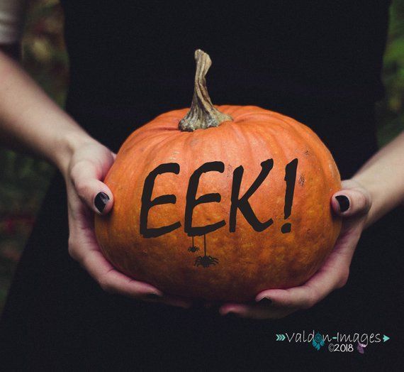 ValdonImages's tweet photo. Spook at your home for Halloween. https://t.co/EndKAfQSC9 #decals #halloweendecor #halloweendecoration #spiders #creepy #HalloweenTime #Halloween2018 #halloweenparty #etsy #doordecal #walldecor #pumpkins #pumpkin https://t.co/ncXIeSsiwd