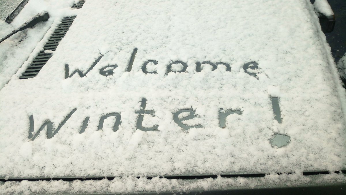 Тэфия tweet media