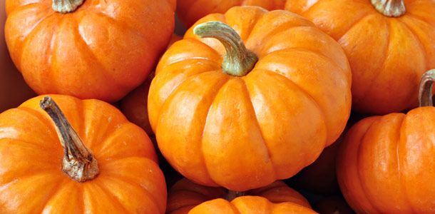 Just in case you weren't aware, it's #nationalpumpkinday so here's to pumpkins! 
#Happy #Halloween 😄