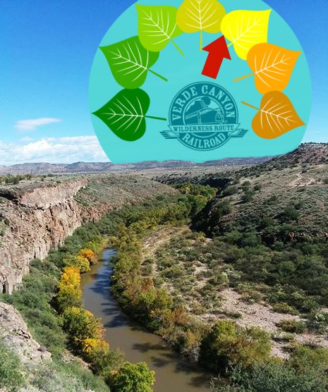 VerdeCanyonRail's tweet photo. Canyon Colormeter: Every Day Shorter + Every Night Cooler = Every Leaf More Golden. Join us for a Fall Colors Tour now through the end of November at Verde Canyon Railroad. #canyoncolormeter #fallcolors #fallfoliage #AutumninAZ https://t.co/YPFFJ9XWvF