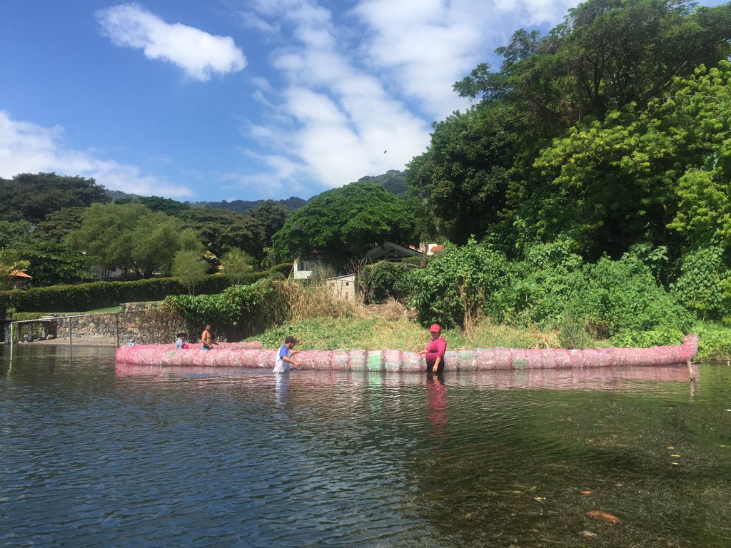 ACoatepeque's tweet photo. Seguimos conservando procurando conservar los ecosistemas del #lagodecoatepeque, #ecobordaslagodecoatepeque https://t.co/ChWeuqxqpI