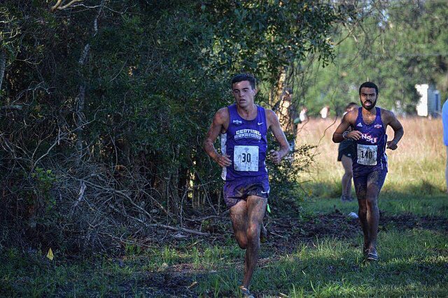 Bears. Beets. Southland Conference. 💍