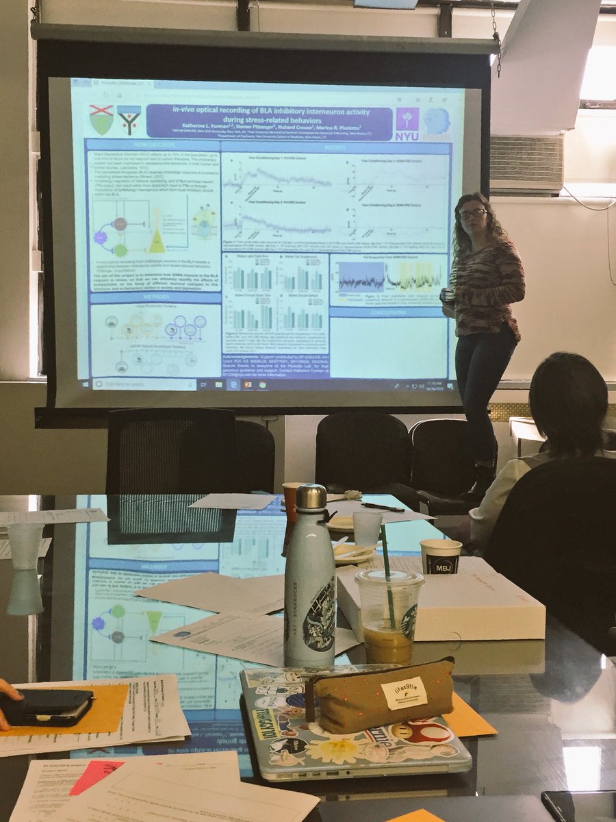 EndureHunterNYU's tweet photo. #posterprep for #SfN18 @FurmanK8 climbed onto a chair to bring her point home. #dedication #Neuroscience https://t.co/ySpdwrUIXr