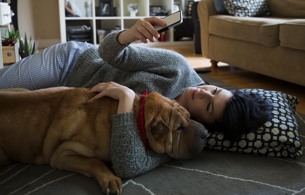 ConEdison's tweet image. Before a #storm strikes, be prepared. Use your cell phone to register for text alerts. Text REG to 688243 so you can get alerts about power problems at your address. bddy.me/2z5Z1Ga #textalert