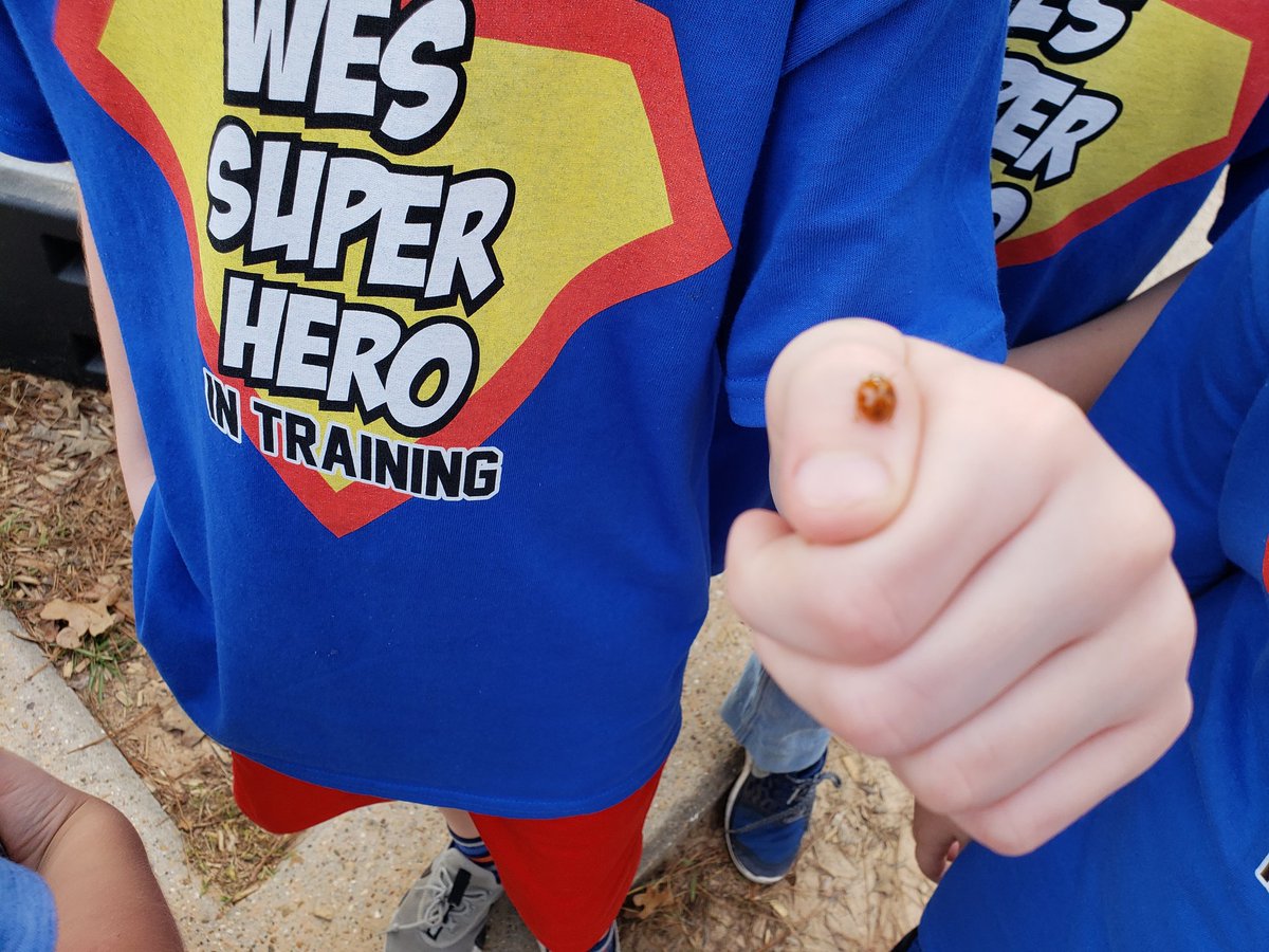 SusanRussell07's tweet photo. We have had a busy day!  Celebration in the gym this morning.  We also had a special reader to read @PropertyBrother new book.  @kjones_m and 1st grade authors! @Padgett1st .  Then one of my superheroes found a lady bug.
#wesbelievers @weselementary @jonathanscott https://t.co/y6AdGjfzXx