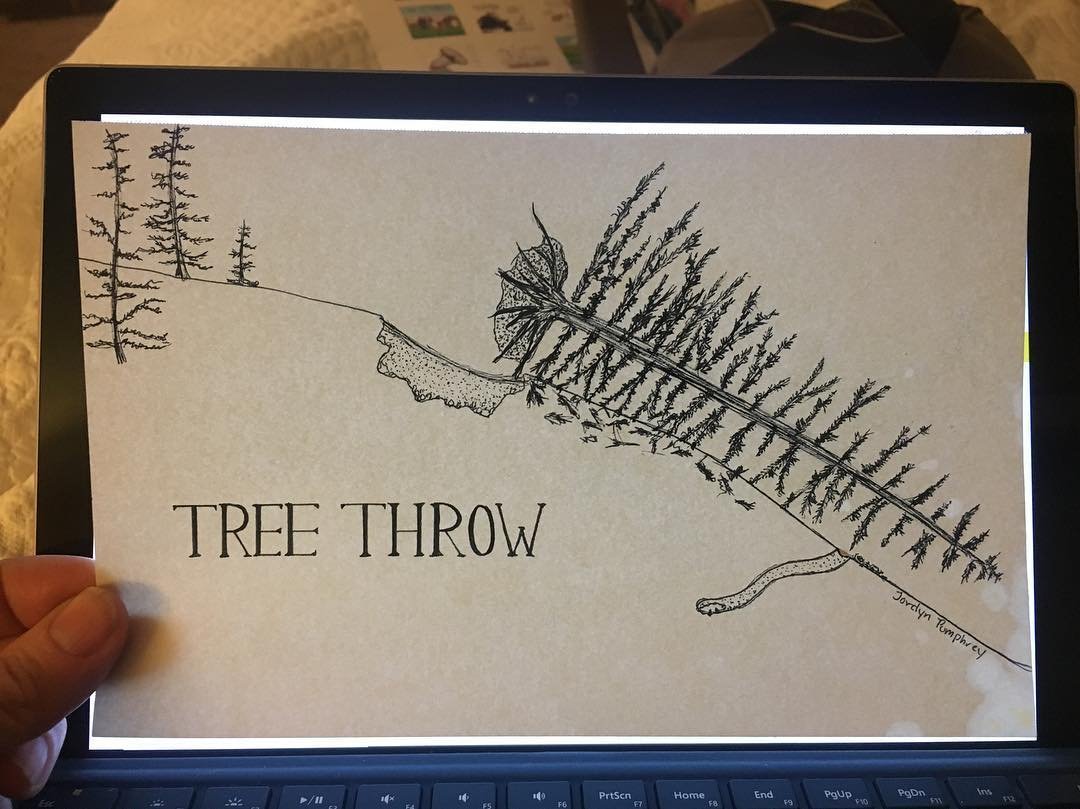 GeoJeannie's tweet photo. Check out this awesome sketch a student drew during my hillslope erosion lecture! #DoodlingInClass hopefully not #BoredInClass https://t.co/aRY7Q7q8lr