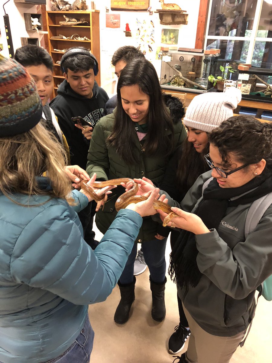 Erika Johnson tweet media