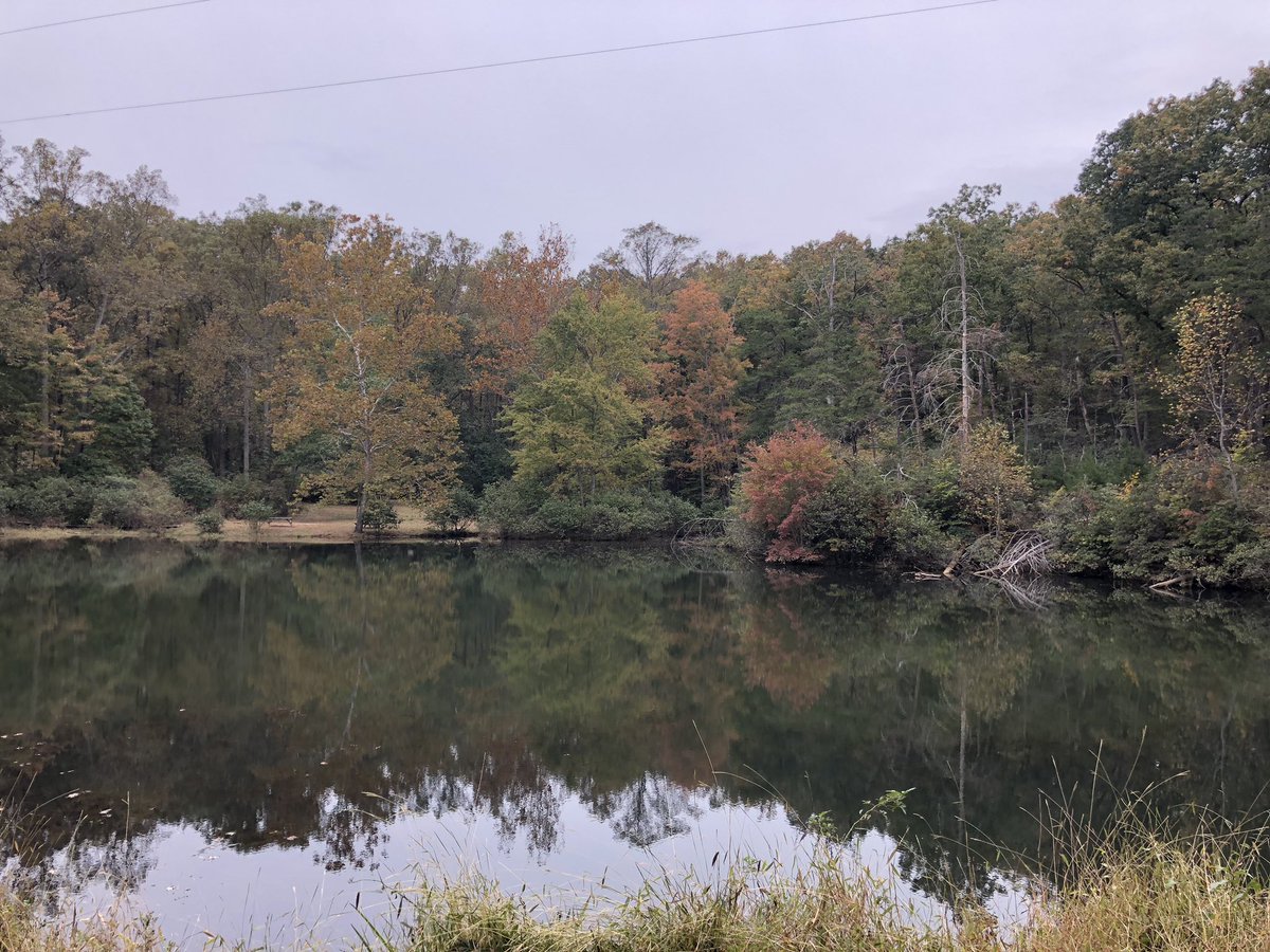 Erika Johnson tweet media