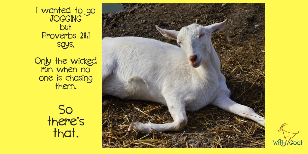 wittygoatstuff's tweet photo. Respecting all religions, I don't usually quote the Bible, but this made me #laugh too much to resist. Photo by @mabelamber on @Pixabay #laughforlife #cutegoat #exercise #lazyparentingconfessions #silly #justbeyou #justkeepswimming #SSDGM https://t.co/THTPOUpXzX