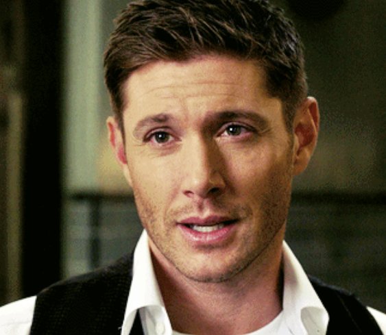 WINCHESTER tweet media