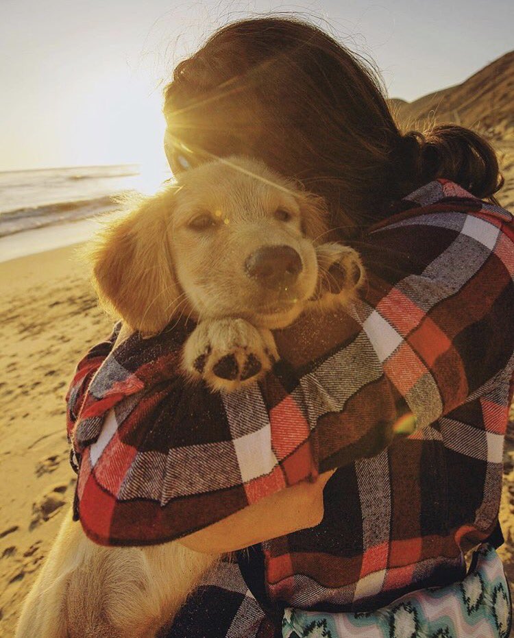 The best way to stay warm // #jauntlife #pupsnugs 🐶

instagram.com/p/BpaMtS1Hhaz/