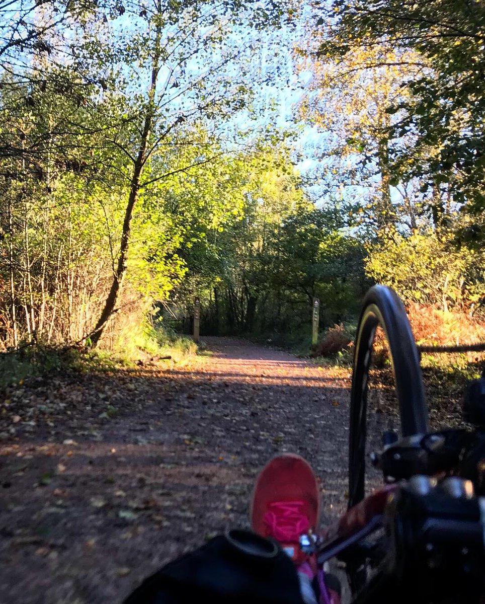 Dolly2racer's tweet photo. Friday meetings taken the only way that is right
Outside By bike🚴🏼‍♀️🍂
A great afternoon brainstorming &amp; planning with fellow big dreamer &amp; project planner Penny in the FOD
A beautiful autumn afternoon, work productivity on overload
So much more than a ‘bored’ meeting!
#getoutside https://t.co/eZoyJ6QQ57