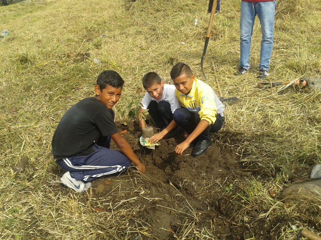 ueiqfiqueros's tweet photo. UENB IMELDA VERA JORNADA ESTA ES MI ESCUELA 26-10-2018 PROYECTO AGROECOLOGICO .@clifpdjunin2018 .@ZonaEducTachira .@psuvaristobulo https://t.co/UUxWuL3QGD