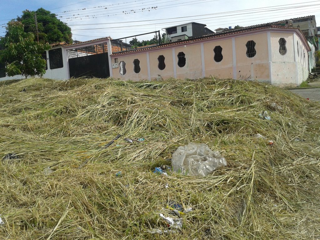 ueiqfiqueros's tweet photo. UENB IMELDA VERA JORNADA ESTA ES MI ESCUELA 26-10-2018 PROYECTO AGROECOLOGICO .@clifpdjunin2018 .@ZonaEducTachira .@psuvaristobulo https://t.co/UUxWuL3QGD