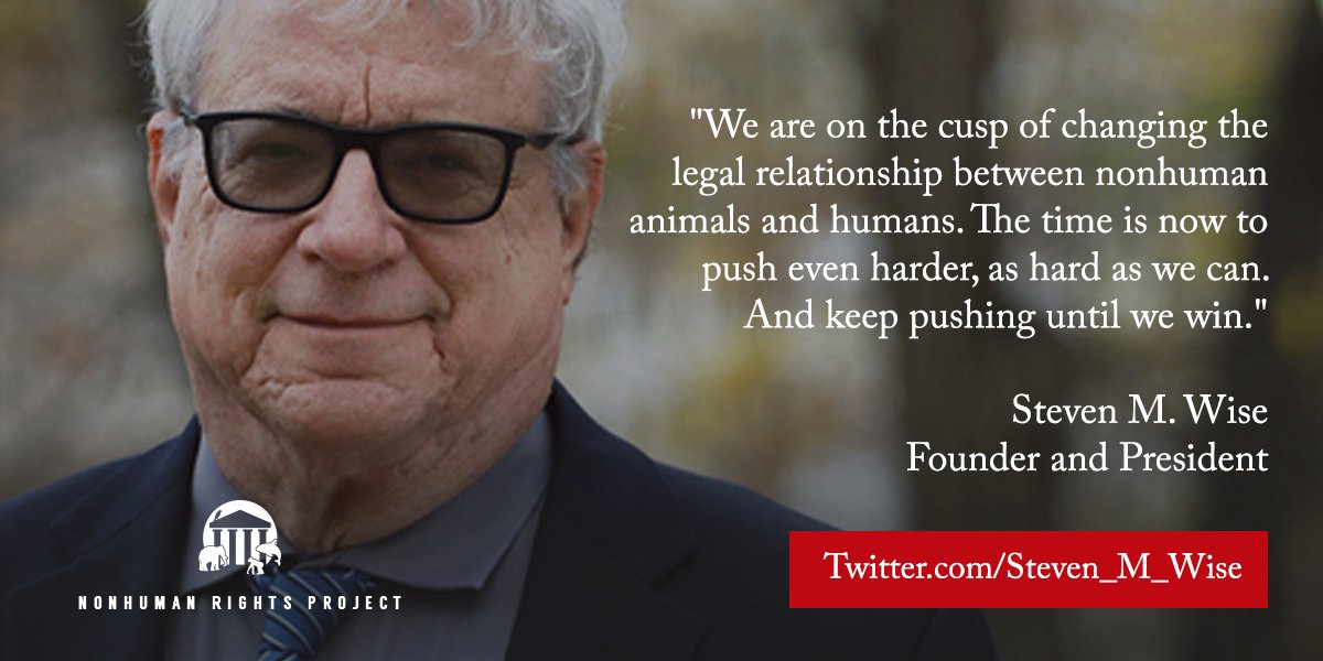 Peter Rix's Instagram, Twitter & Facebook on IDCrawl