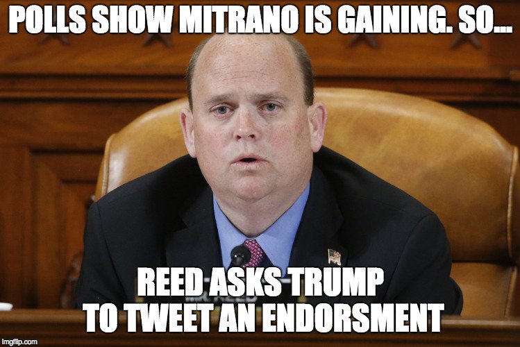 This is the best he can do?  #ReedsLastTerm #TracyMitrano @MitranoForNY23 #NY23 <a href="/ABetterSTier/">ABetterSTier</a> <a href="/ny_indivisible/">NY_Indivisible NYC NYS empiremustfall.bsky.social</a> @es_indivisible <a href="/IndivisibleNY23/">Indivisible NY23rd</a> <a href="/GrotonNYDems/">Groton NY Dems</a> <a href="/nydems/">New York State Democratic Party</a> <a href="/chemungdems/">Chemung Co Democrats</a> <a href="/tioganypan/">Tioga Progressive</a> @OurRevolutionNY <a href="/DemocraticBlue/">Democrats2018</a> #Midterms2018 <a href="/BlueWave/">Stephen</a> #VOTE #November6th #Nov6th