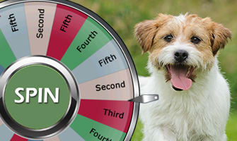 cbwdobsonranch's tweet photo. Did you say Free! Camp Bow Wow is coming to Dobson Ranch Mesa! Sign up and win free services when we open. https://t.co/soNN1sAqFg
#campbowwowdobsonranch #campislife#mesadogs #tempedogs #mesariverview#prizewheel https://t.co/pXf0U8KNg1