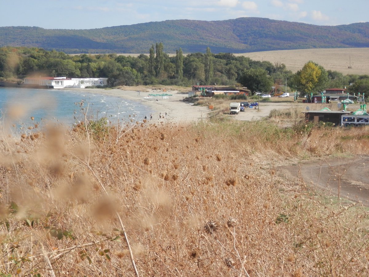 Bulgarian Charm tweet media