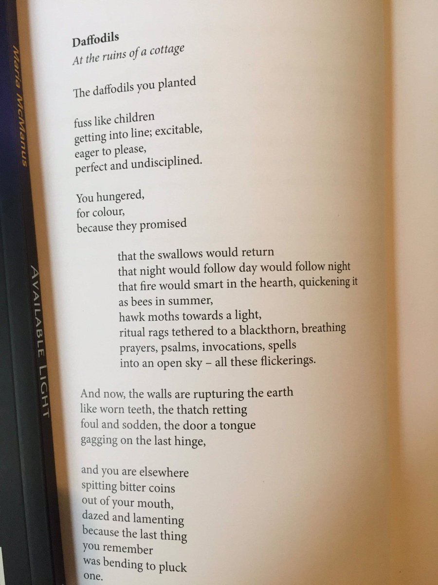 ulsterahs's tweet photo. ‘You hungered, for colour,
because they promised... now, the walls are rupturing the earth
like worn teeth, the thatch retting
foul & sodden, the door a tongue
gagging on the last hinge’
‘Daffodils’, by @maria_mcmanus inspired by @underthethatch at Trawenagh Bay. https://t.co/scirpIK8Zx