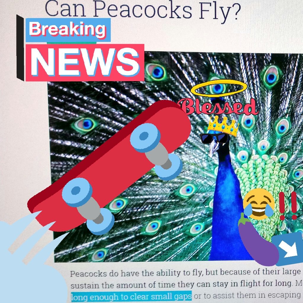 Mono1up's tweet photo. #EarlyBirdsAlsoGet the gap! #LookUp #SkateMyth #Proof #Skate3 #Peacocking - We dat #Peacock #Gang! #Skate #skateordie #skatelife #skateboard #skateboarding #easkate #funny #meme https://t.co/h3lcah3pnG