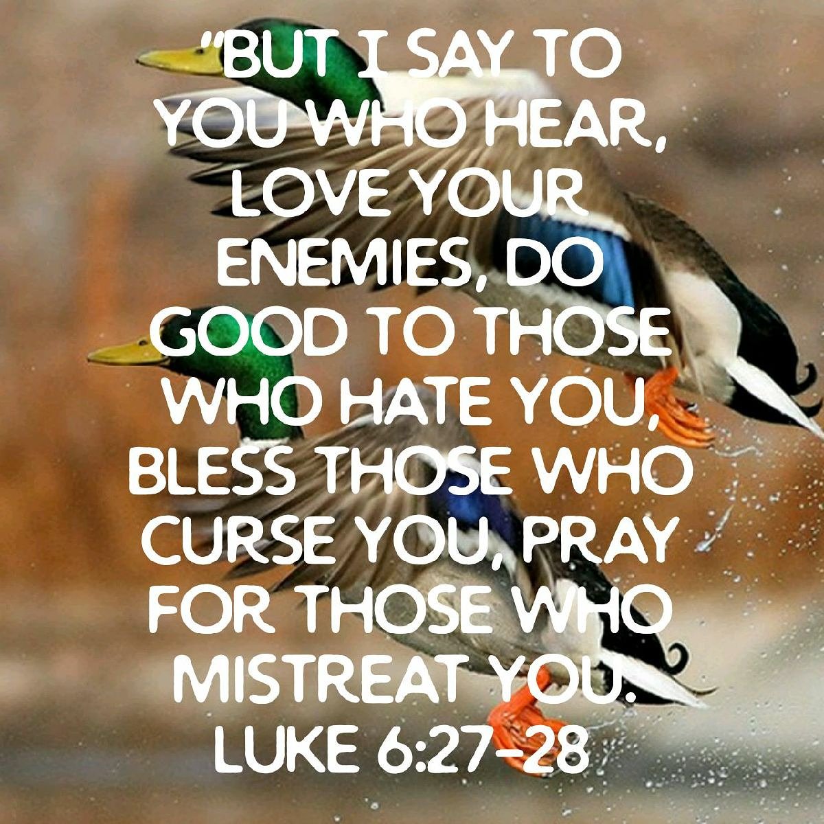 SportsmanforGod's tweet photo. https://t.co/GPzoWNTye3
