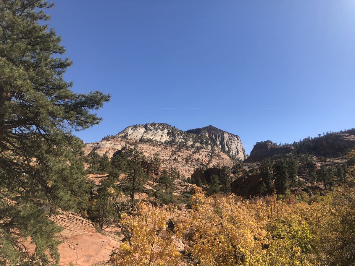 Jester454's tweet photo. #Zion #DrivingThrough https://t.co/GDErTG7XHB