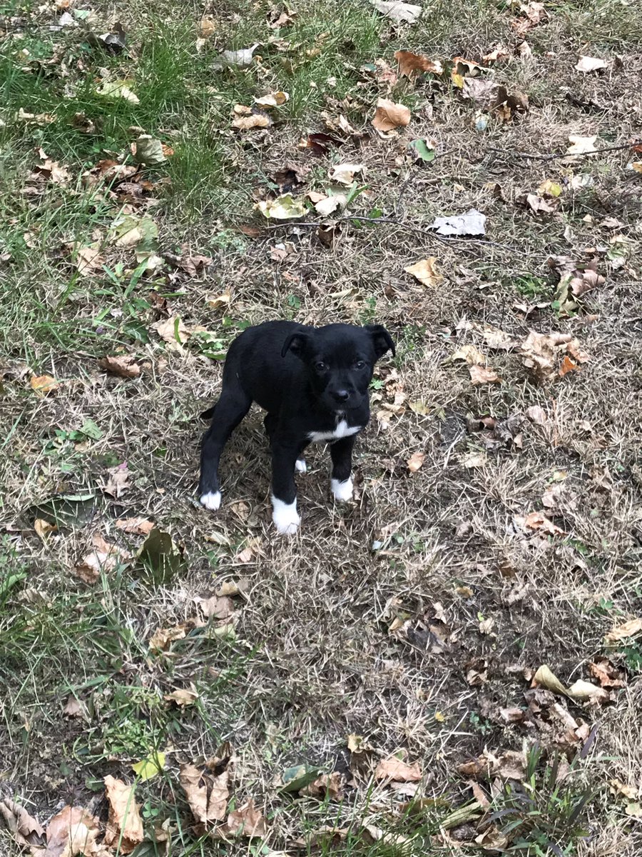 theelaurenash's tweet image. coco chanel ❤️ #newestedition