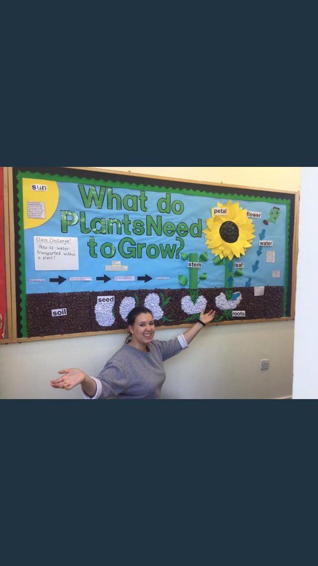 MissEConvery's tweet photo. Very proud of our first proper display board! π» #ysjprimary #ysjprimaryed #YSJPrimEd #ysjprimed https://t.co/ScpH6XckJf