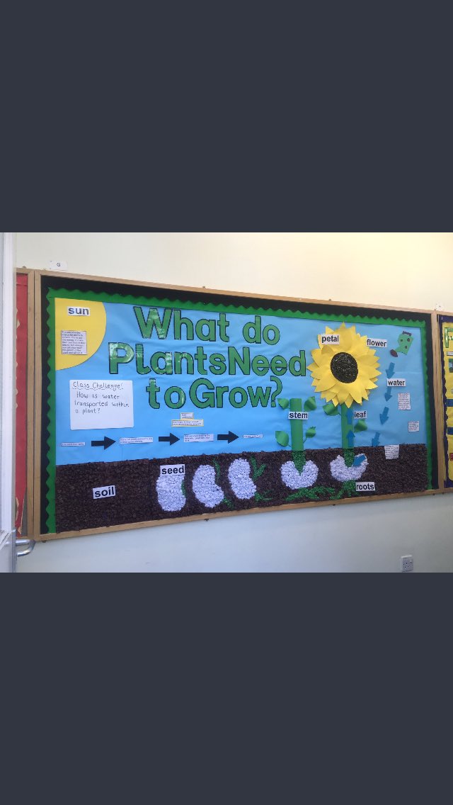 MissEConvery's tweet photo. Very proud of our first proper display board! π» #ysjprimary #ysjprimaryed #YSJPrimEd #ysjprimed https://t.co/ScpH6XckJf