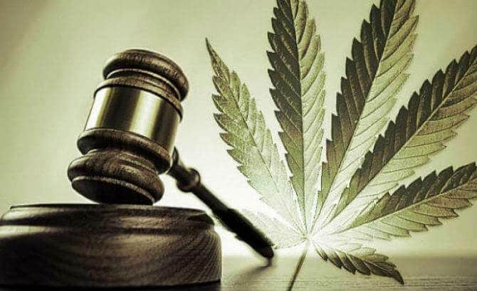 CAcannabisdept's tweet photo. The BCC and DCA's Division of Investigation-Cannabis Enforcement Unit, in coordination with the Los Angeles Police Department, today announced #enforcement action on an unlicensed #cannabis retailer operating within the city of Los Angeles.

Press Release: https://t.co/fUmDz7OT9j https://t.co/vnxqPdKlyW