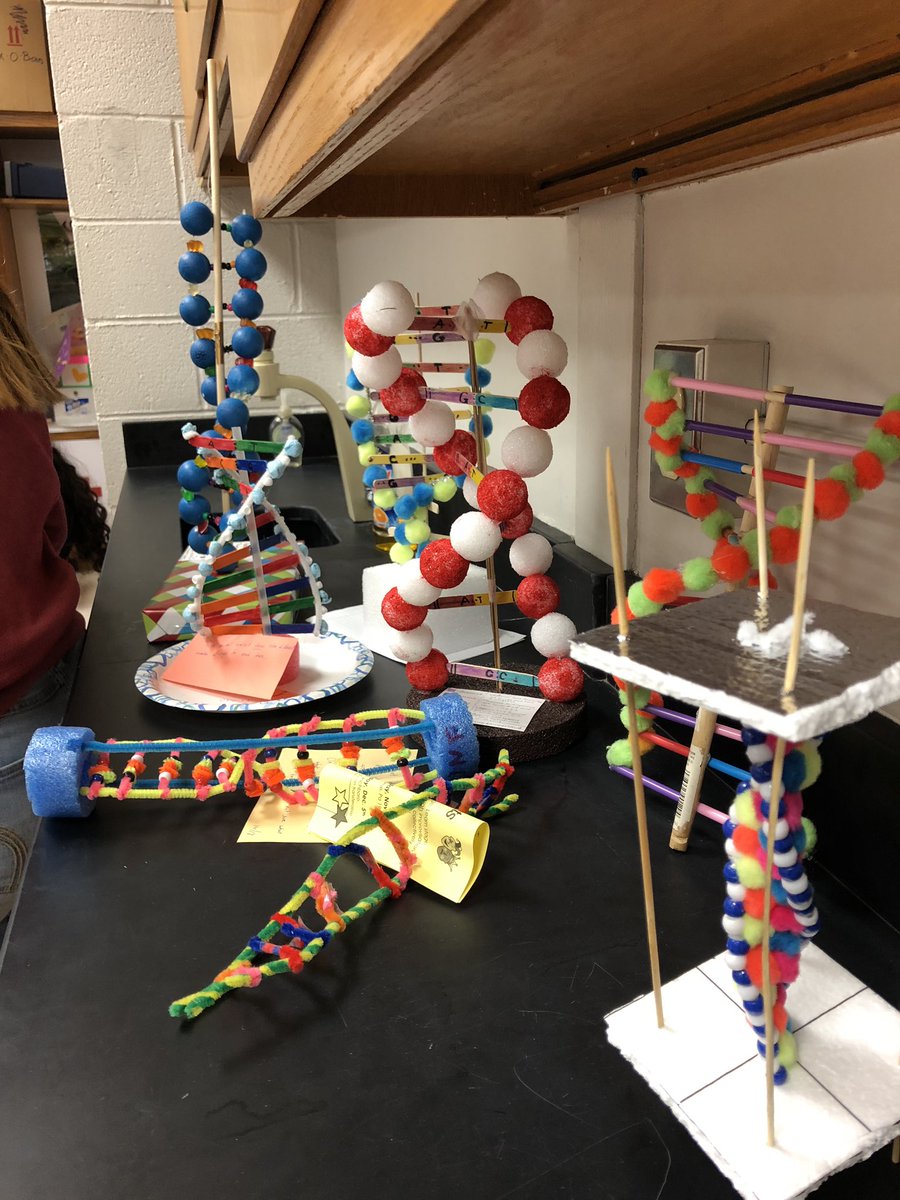 bioshemesh's tweet image. Another year, another @PLTWorg PBS class, another set of creative #DNAmodels #btsdtigers #TrumanScience
