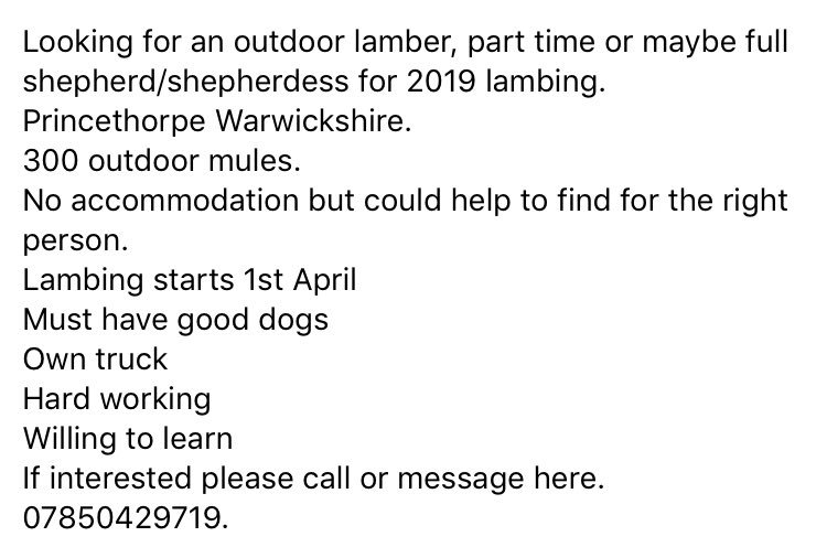 <a href="/Sheep_365/">Sheep_365 🐑</a> #sheep365 #lambing