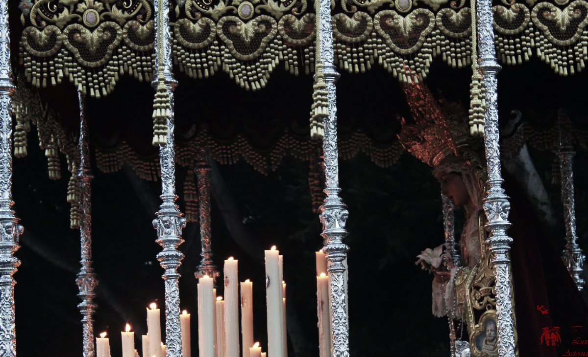 EAeterna's tweet photo. Título: Azucena Bendita
Hermandad: @HdadHumildad
#800MercedMLG #CofradíasMLG #CofradiasAND https://t.co/8i2l7kR6Fd