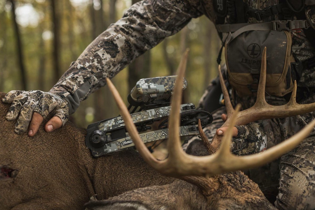 Mathews_Archery's tweet photo. A Pennsylvania payout for Tyler Kravitz. #MathewsTriax
Photo | Nick Kravitz
#StealthIsLethal #mathews https://t.co/H5OIrPVBAL