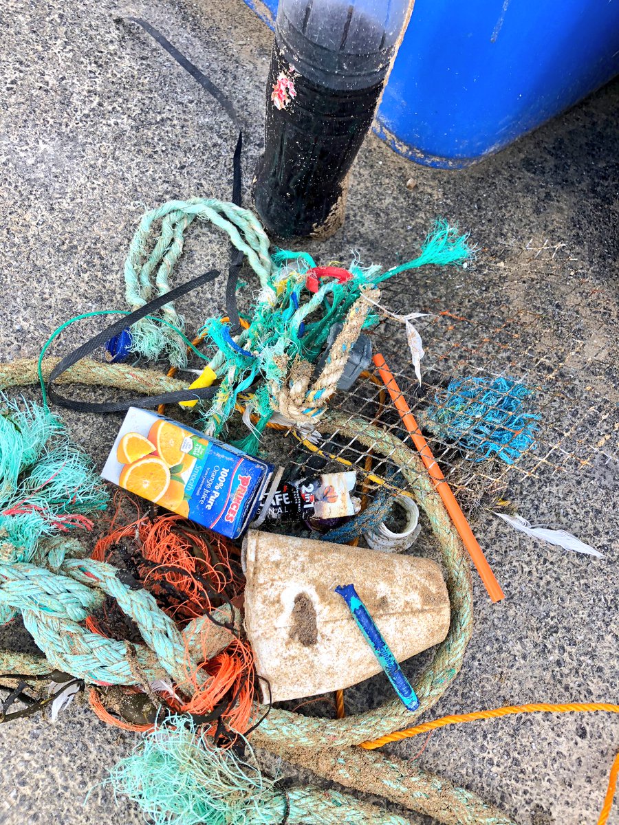protectnewquay1's tweet photo. #2minutebeachclean 2day.
๐#FishingRope
๐คฌ#DisposableBBQ
๐จ#Nescafe
๐ค#GilletteDisposableRazor
๐ฑ#PrincesFruitJuiceCarton
๐ช#CocaCola
๐ค#PlasticStraw
๐คฎ#PlasticBottleTops
๐ #SingleUsePlastics
#2minutelitterpick Anytime @2minbeachclean @PlasticFreeNQ
@KeepBritainTidy https://t.co/P5jjruK9Ls