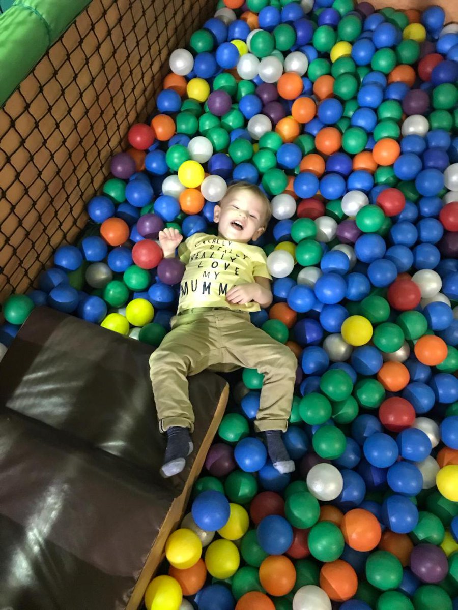 RogerNewberry's tweet photo. Just Max and me… Adventures Day 6 https://t.co/949OQJ0XAp https://t.co/Thz73gRZoh