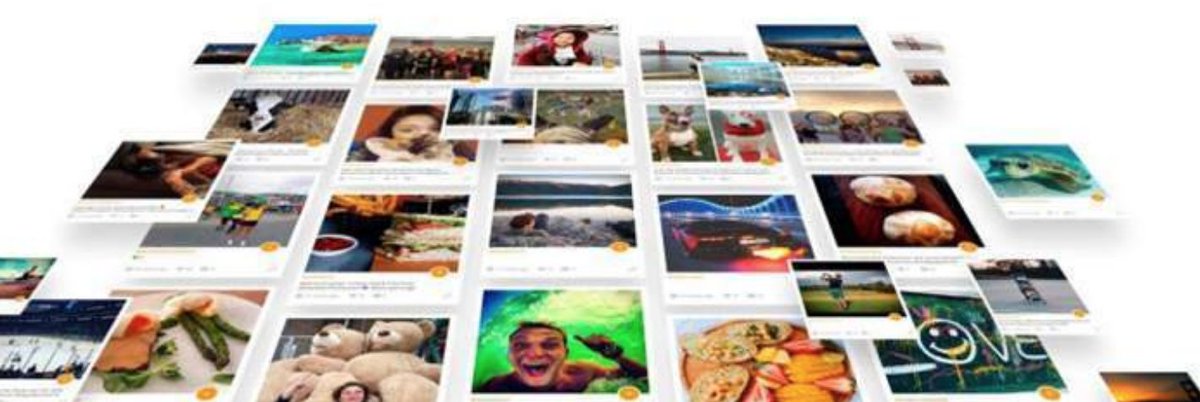 ShareRoot tweet media