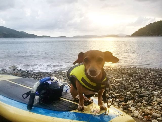 Sunset at Whistling Cay! Book your BoatDay or TourDay today! #BoatDayVI 🛥 #awayfromeverday ☀️ #boatday 🚤 #tourday 🚗💨 #snorkeltrip 🧜‍♀️ #sunsetcruise 🌅 #drivetour 🌴 #sup 🏄‍♀️ #WhistlingCay 🏝