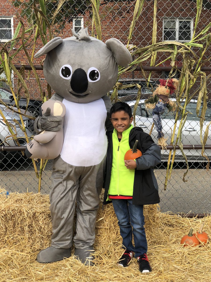 PS212PTA's tweet photo. Our students were surprised & excited to see their supersized Koala mascot for the first time #SchoolSpirit #PumpkinPatch2018 #ChampionsForChildren #PTAGoals #PublicSchoolProud @DOEChancellor @D21_Community @ps212k @UFT @YTorresDOE @BKSOUTHCOUNSEL @ExecSuptBKSouth @ArtsEd_SI_BKS https://t.co/PqKfiHCaZO