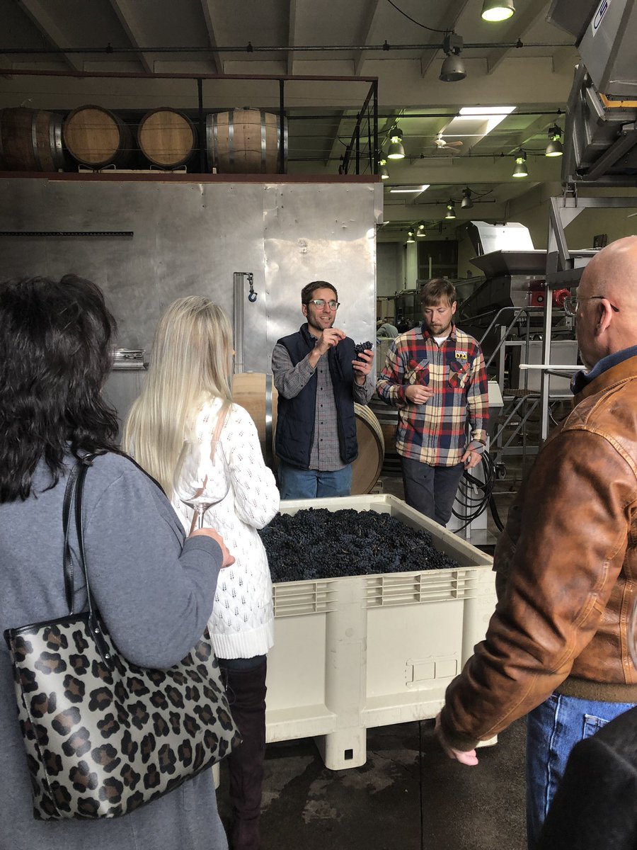 Looking back on our last wine course down in the winery!

Our next one is on November 24th in our tasting room. You can learn more and buy tickets at: fullertonwines.com/events