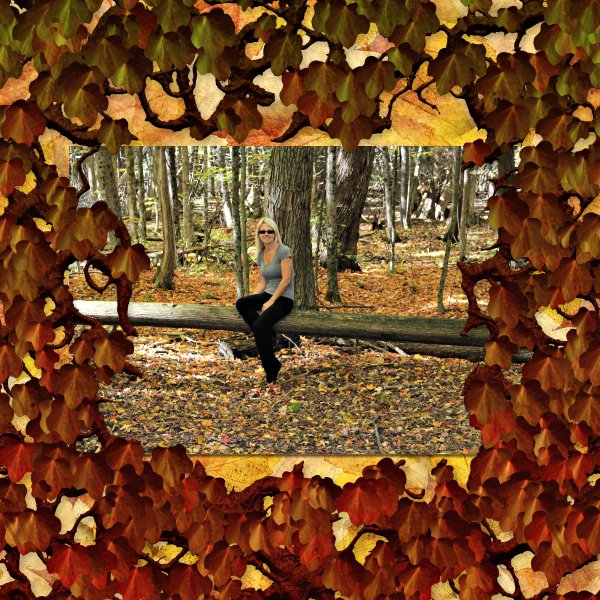 LLLCreations's tweet photo. Did you pick up this #FREEEBIE yet?.
Autumn Border Overlay could be used for Autumn, Halloween layouts &amp; more!
https://t.co/6LDicl2fjZ

#scrapbooking #digitalscrapbooking #digiscrap #scrapbook #scrapkit #LLLCreations #free #freebies #Halloween #Autumn #layout @MyMemoriesFans https://t.co/fwIqk6DyON
